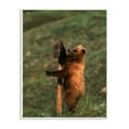 thumbnail image 1 of The Stupell Home Decor Collection Grizzly Bear Cub Scratching Park Sign Wood Wall Art, 1 of 5