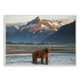 thumbnail image 1 of The Stupell Home Decor Collection Grizzly Bear Standing in Salmon Stream Wood Wall Art, 1 of 5