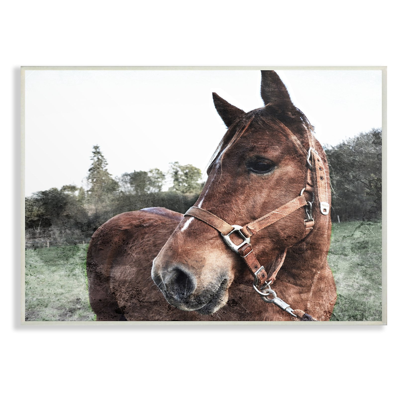 The Stupell Home Decor Collection Horse Posing In Field Wall Art