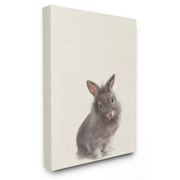 The Stupell Home Decor Collection Just A Cute Bunny Wall Art