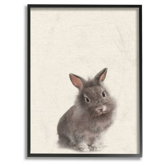 The Stupell Home Decor Collection Just A Cute Bunny Wall Art