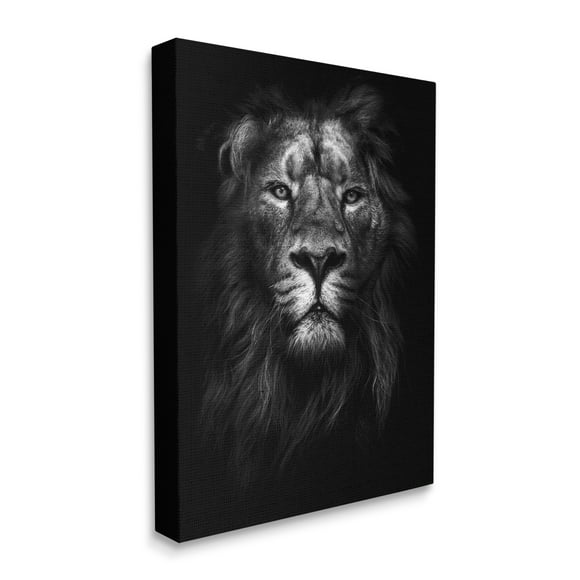 The Stupell Home Decor Collection King of the Jungle Lion In Shadows Black and White Photography Canvas Wall Art