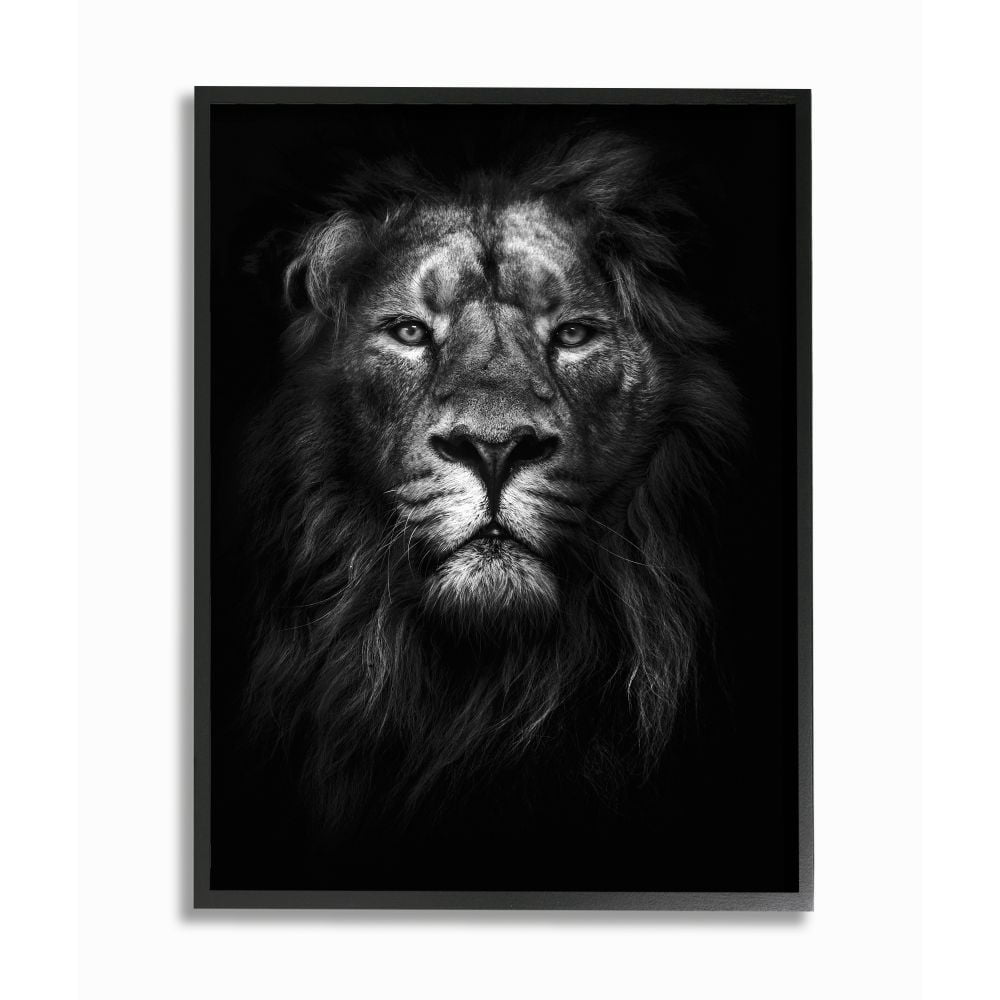 The Stupell Home Decor Collection King of the Jungle Lion In Shadows Black and White Photography Framed Giclee Texturized Art