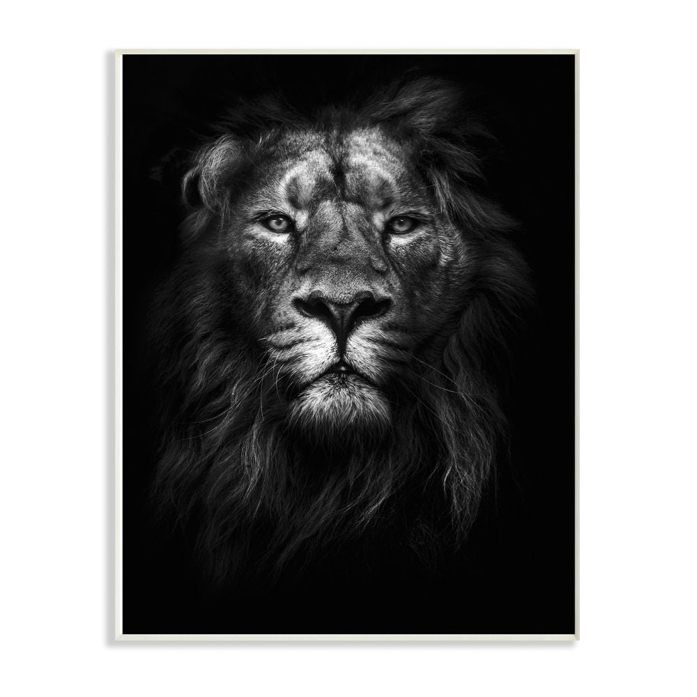 The Stupell Home Decor Collection King of the Jungle Lion In Shadows Black and White Photography Wood Wall Art