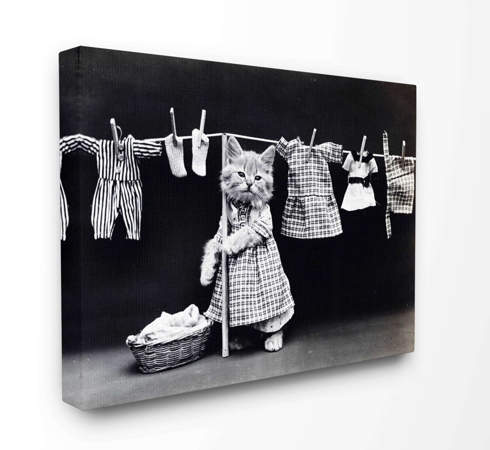 The Stupell Home Decor Collection Kitten Does The Laundry Canvas Wall Art