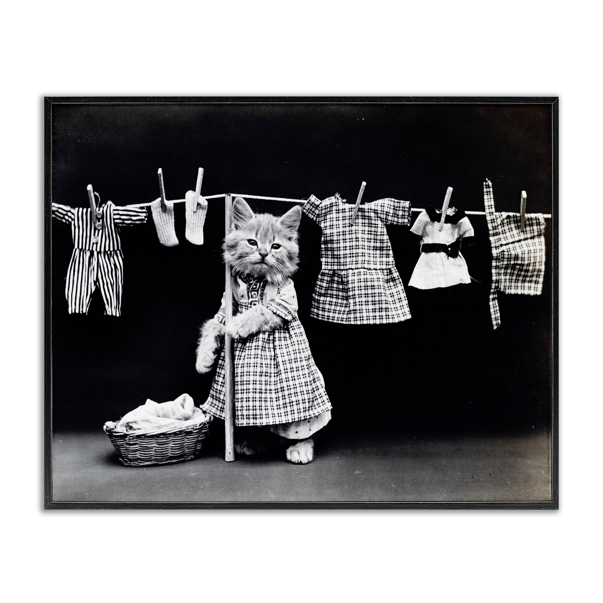 Stupell Kitten Does The Laundry Framed Giclee Texture Art 11 x 14