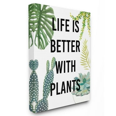 The Stupell Home Decor Collection Life Is Better With Plants Wall Art