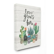 The Stupell Home Decor Collection Love Grows Here Cacti Wall Art