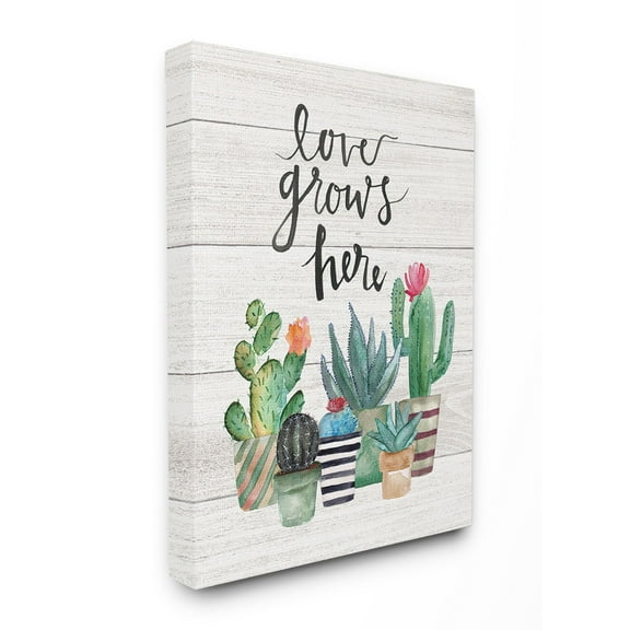 The Stupell Home Decor Collection Love Grows Here Cacti Wall Art