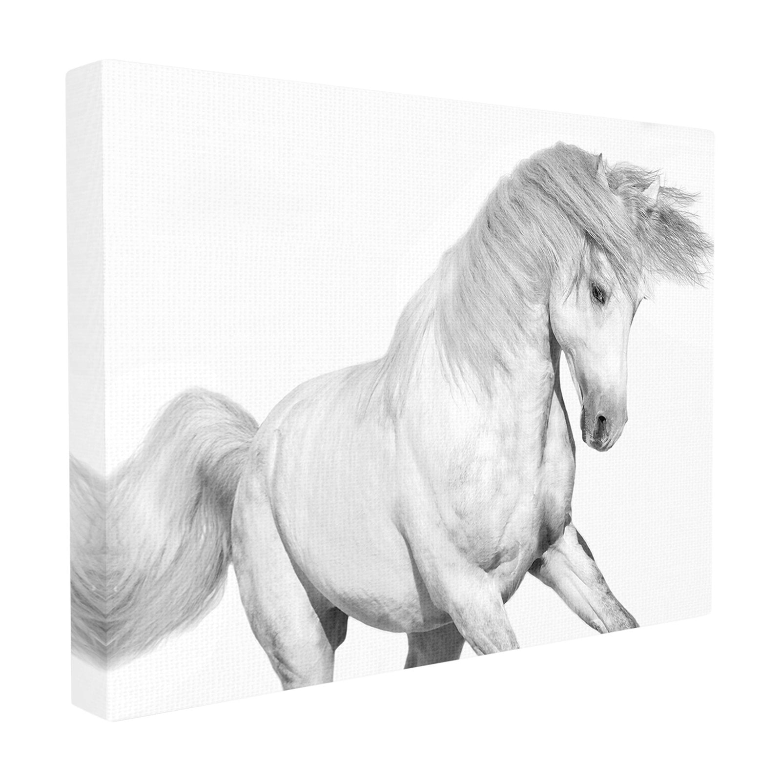 The Stupell Home Decor Collection Majestic Black and White Horse Bucking in the Wind Painting Framed Giclee Texturized Art, 11 x 1.5 x 14