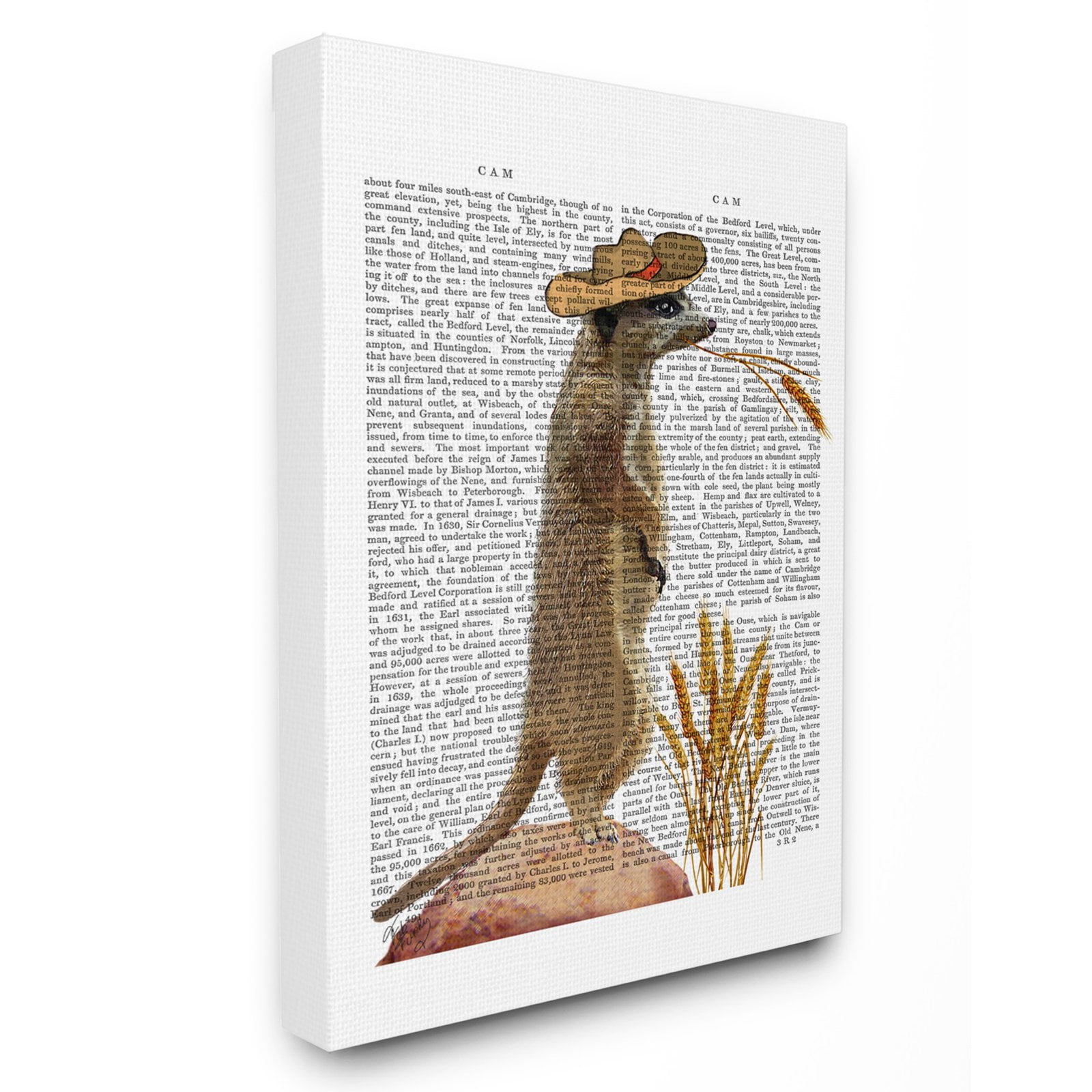 The Stupell Home Decor Collection Meerkat in a Cowboy Hat Book Page Wall Art
