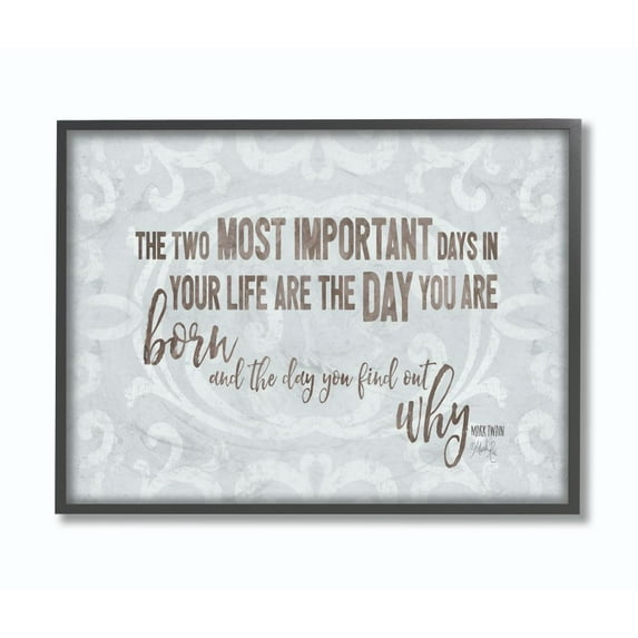 The Stupell Home Decor Collection Most Important Days Born And Why Inspirational Typography Framed Giclee Texturized Art
