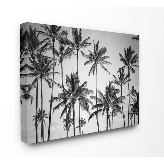 The Stupell Home Decor Collection Palm Trees Skyline Black and White Photography Canvas Wall Art