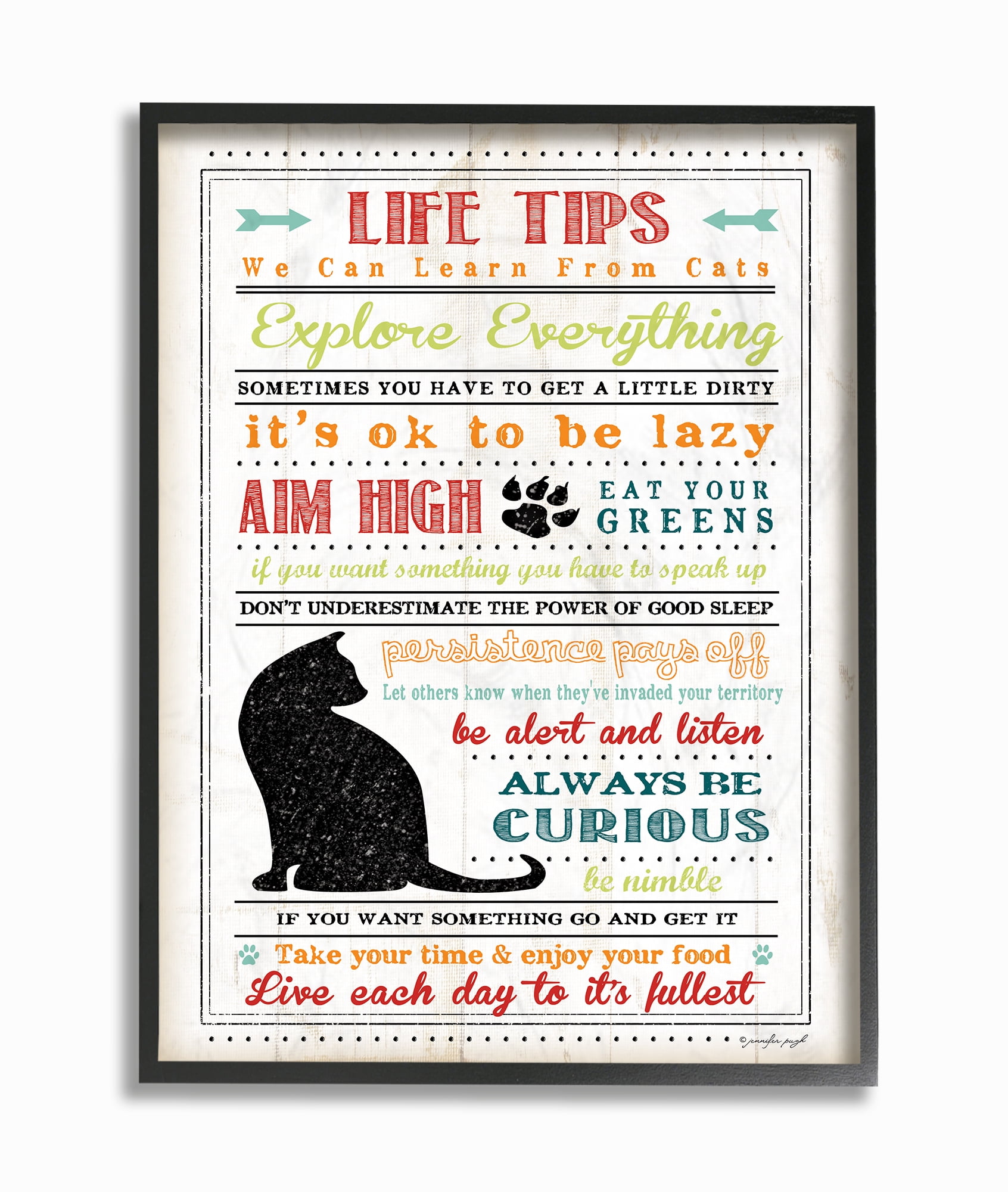 Life Tips from Cats Multicolor Canvas Print with Ebony Frame