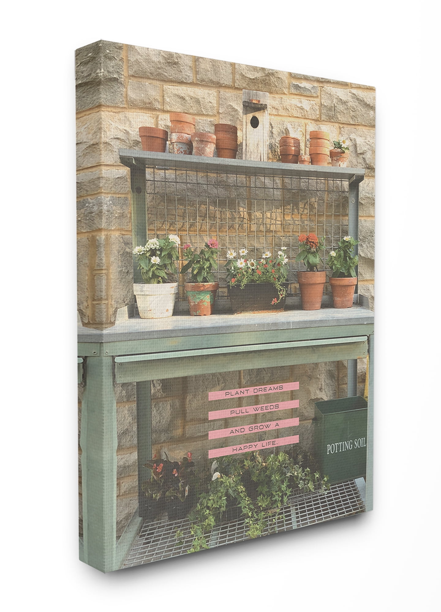 The Stupell Home Decor Collection Pink and Green Plant Dreams Garden Typography Photograph Stretched Canvas Wall Art, 30 x 40