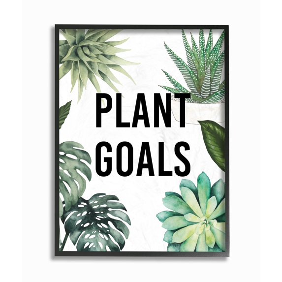 The Stupell Home Decor Collection Plant Goals with Plant Illustrations Framed Giclee Texturized Art, 11 x 1.5 x 14