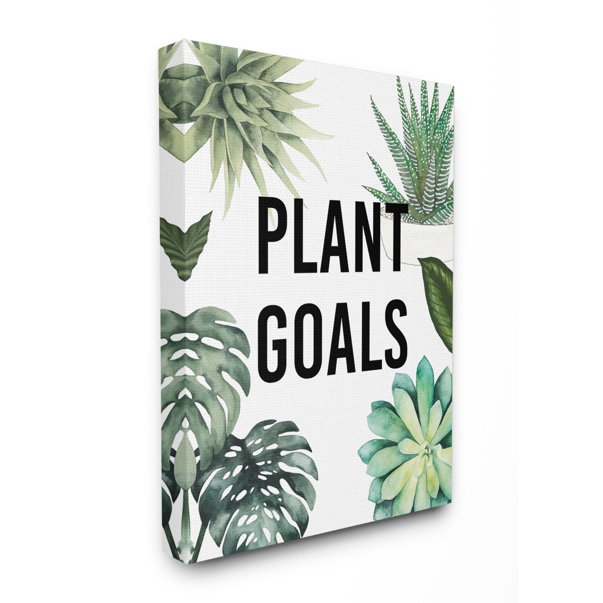 The Stupell Home Decor Collection Plant Goals with Plant Illustrations Stretched Canvas Wall Art, 16 x 1.5 x 20