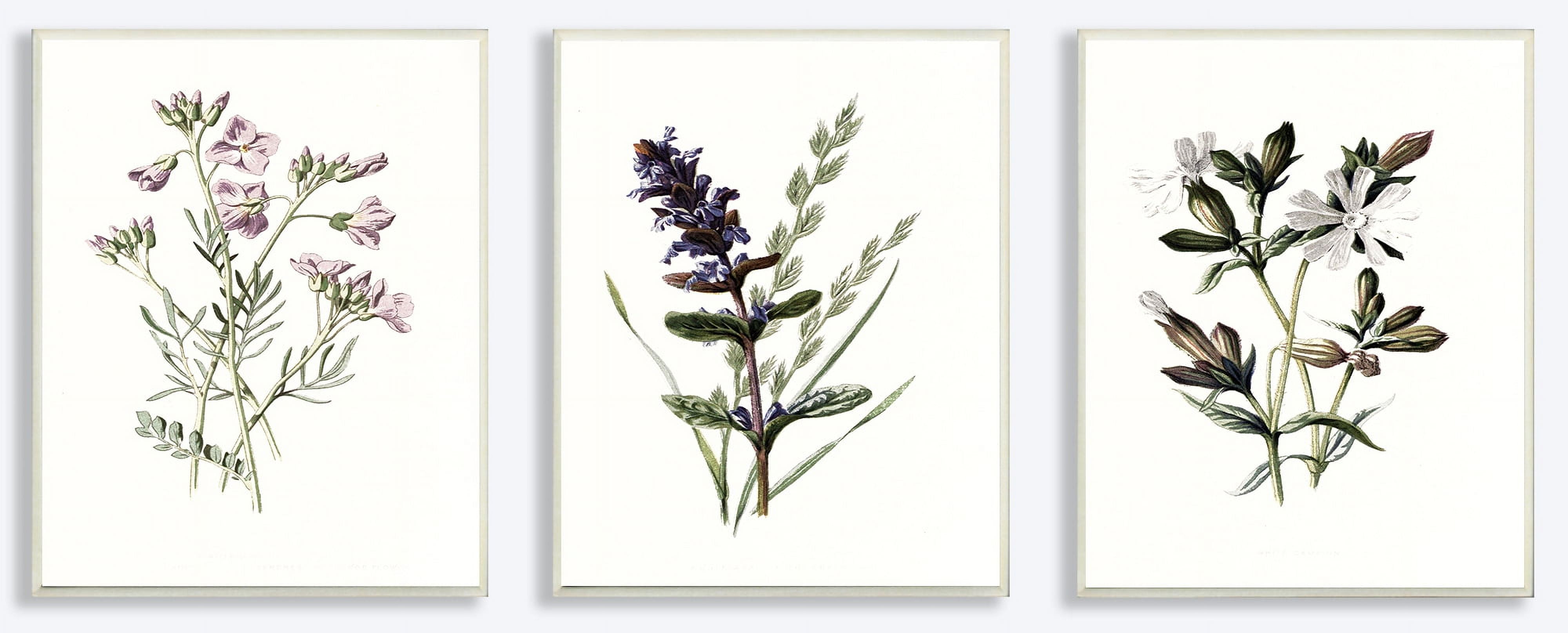 The Stupell Home Decor Collection Purple and White Floral Botanical Illustrations 3pc Wall Plaque Art Set, 10 x 0.5 x 15