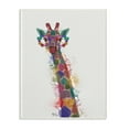 thumbnail image 1 of The Stupell Home Decor Collection Rainbow Splash Giraffe in Glasses Oversized Wall Plaque Art, 12.5 x 0.5 x 18.5, 1 of 4