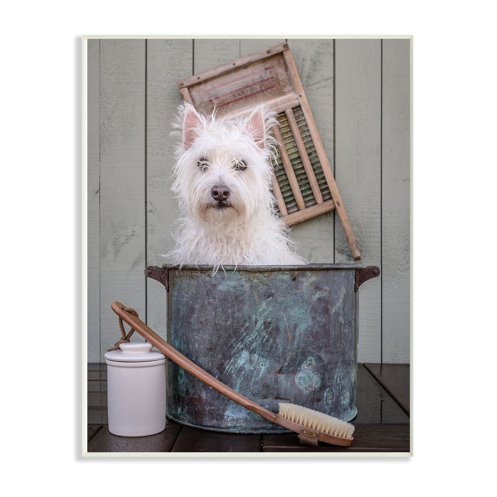 The Stupell Home Decor Collection Ready for a Bath Little White Dog in a Wash Tub Photograph Wall Plaque Art, 10 x 15