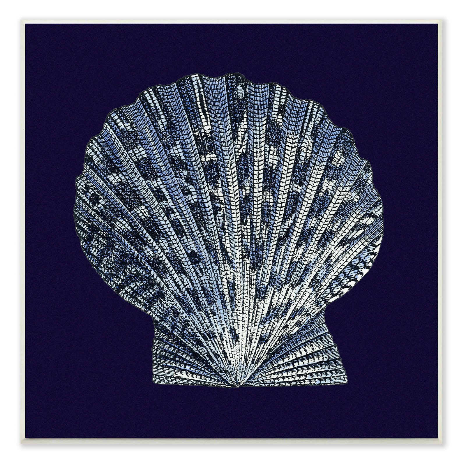 The Stupell Home Decor Collection Scallop Shell Wall Plaque Art