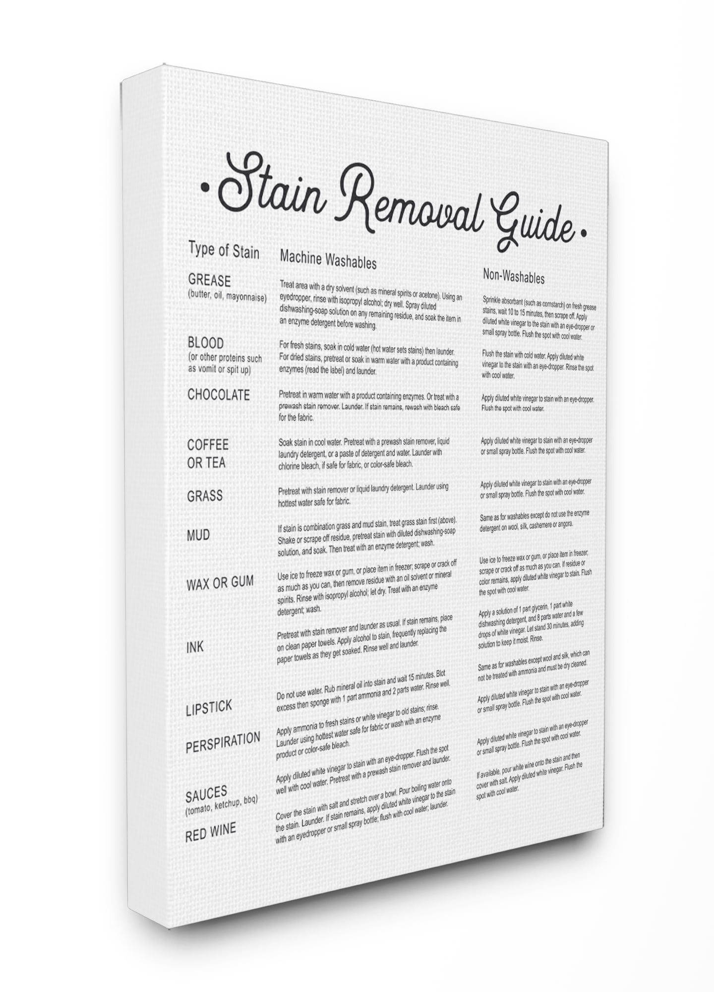 The Stupell Home Decor Collection Stain Removal Guide Version 2 Canvas Wall Art