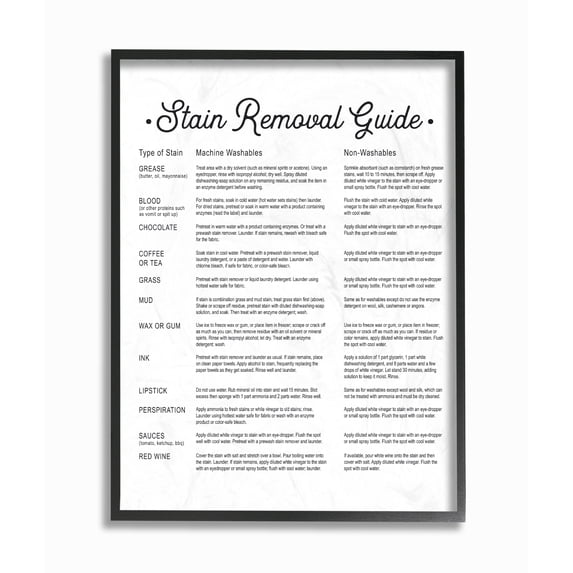 The Stupell Home Decor Collection Stain Removal Guide Version 2 Canvas Wall Art