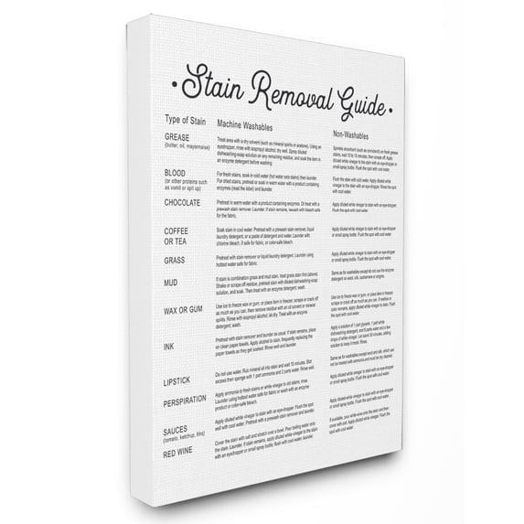 The Stupell Home Decor Collection Stain Removal Guide Version 2 Canvas Wall Art