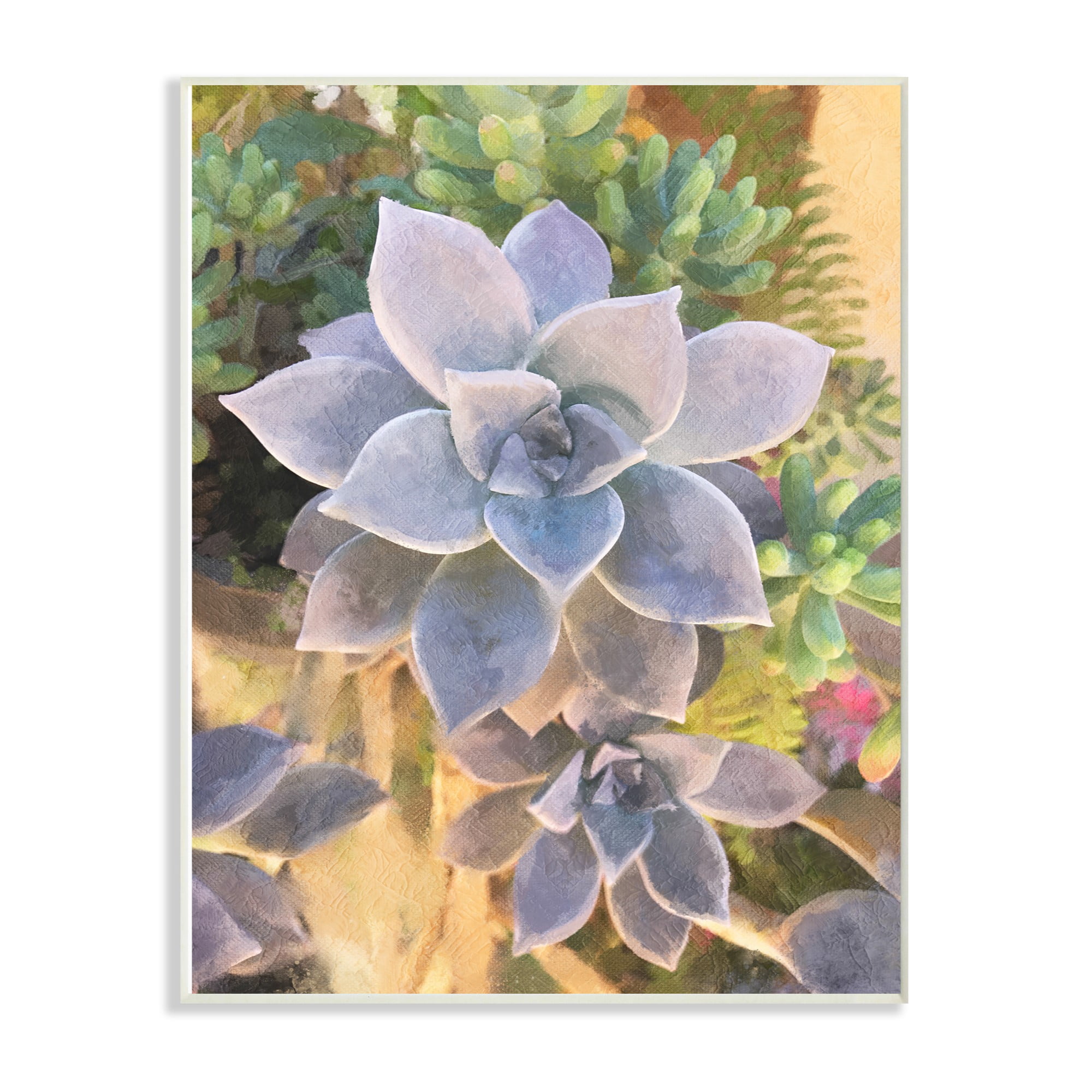 The Stupell Home Decor Collection Succulent Plant Desert Party Painting Oversized Wall Plaque Art, 12.5 x 0.5 x 18.5
