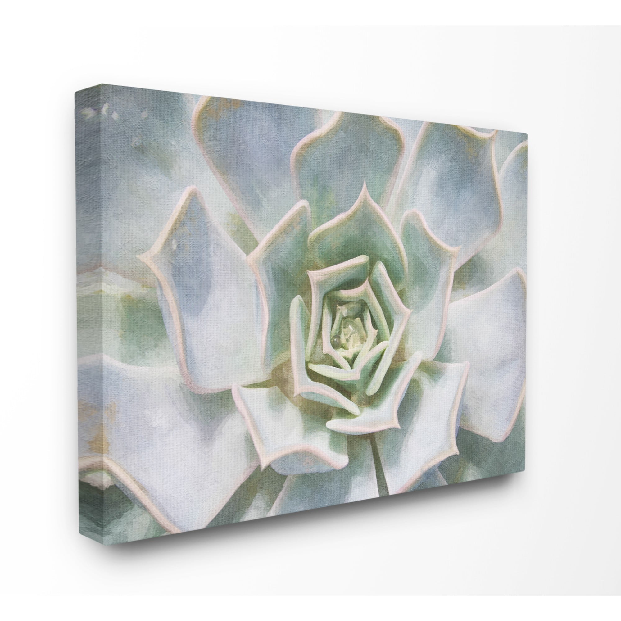 The Stupell Home Decor Collection Succulent Plant Gentle Morning Dew Painting Stretched Canvas Wall Art, 30 x 1.5 x 40