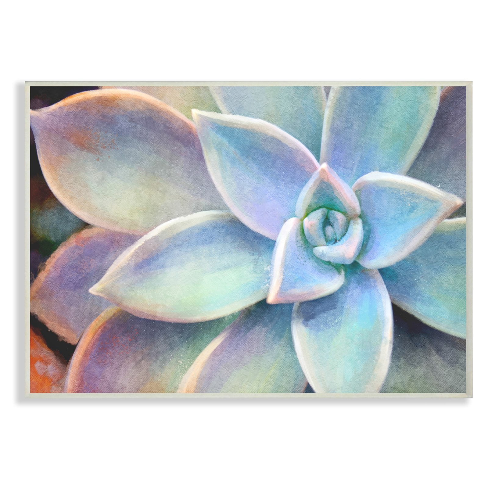 The Stupell Home Decor Collection Succulent Plant Vibrant Bloom Painting Wall Art