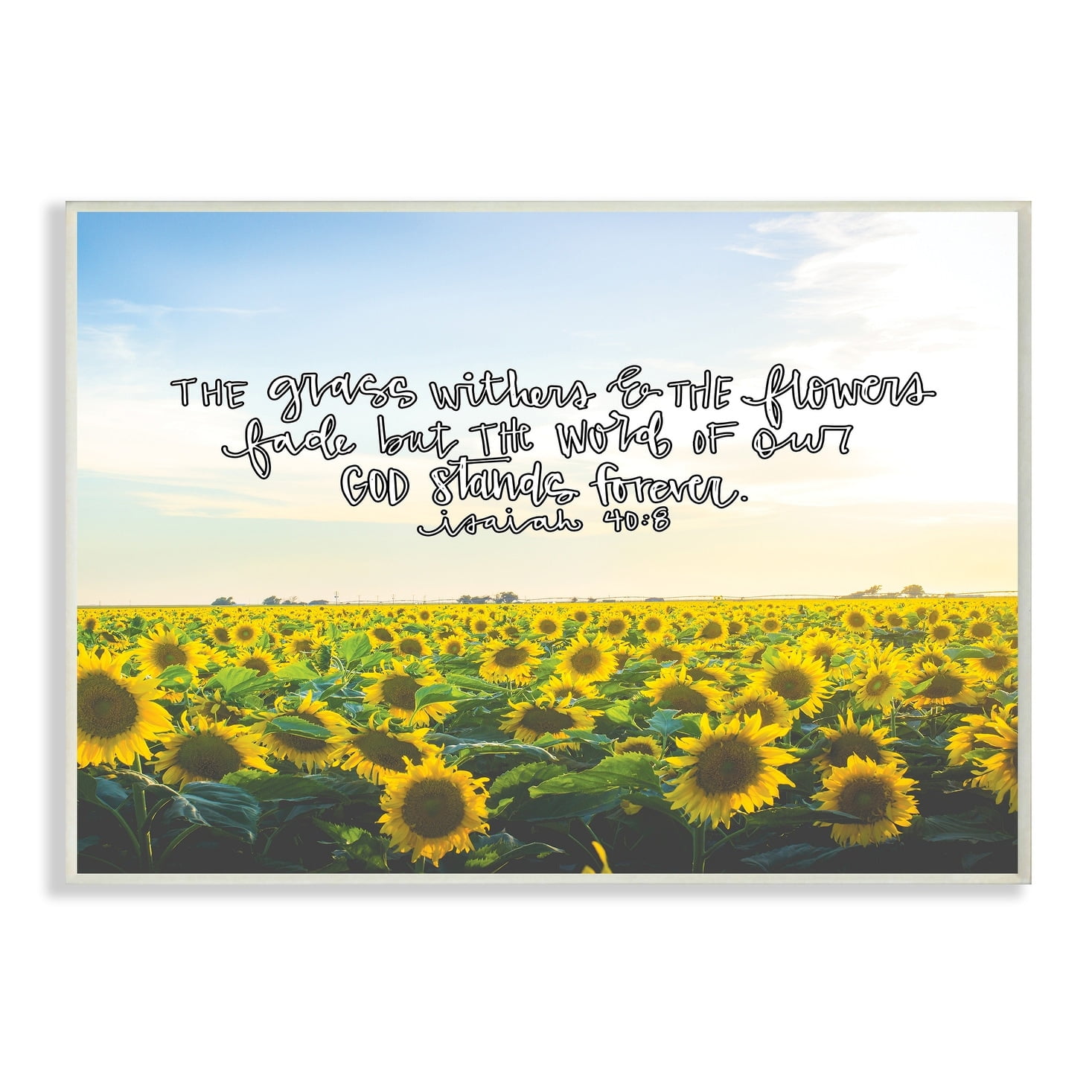 The Stupell Home Decor Collection The Word of God Stands Forever Sunflower Field Photography Wall Plaque Art, 10 x 0.5 x 15