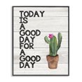 thumbnail image 1 of Stupell Industries Farmhouse Today Is A Good Day Cactus Succulent Watercolor Black Framed Giclee Art, 16 x 20, by Jo Moulton, 1 of 7