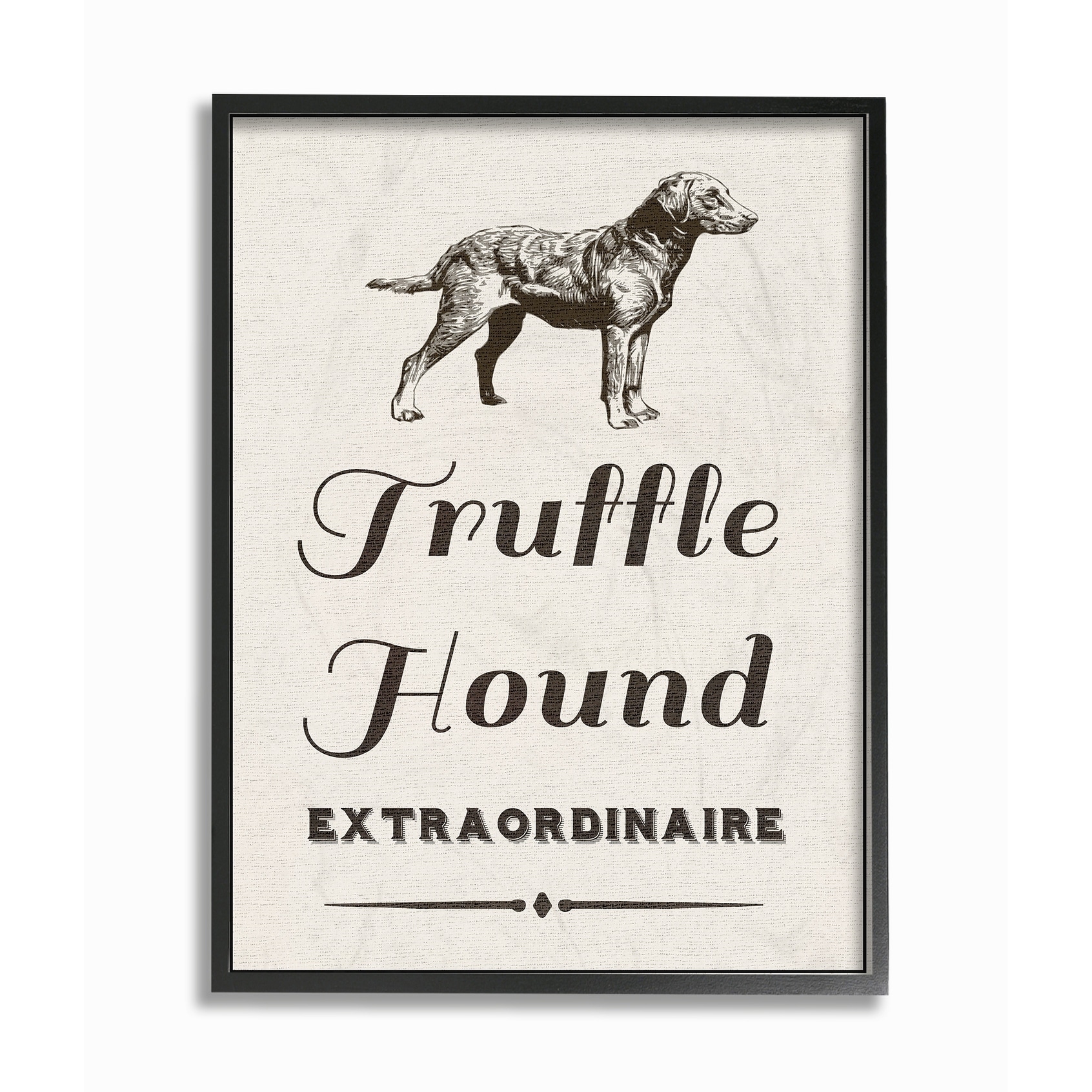 Stupell Truffle Hound Extraordinarie Framed Giclee Texture Art 16 x 20