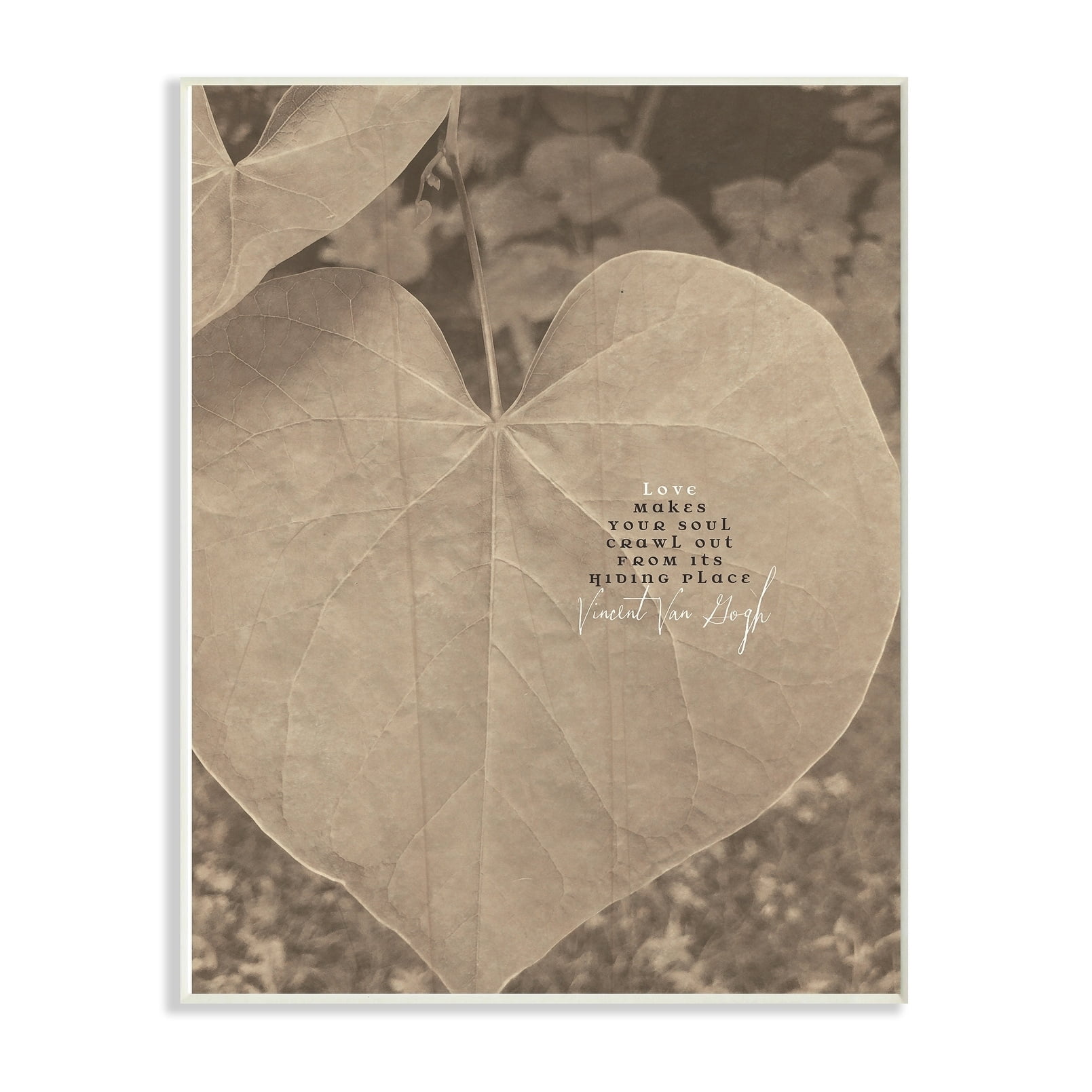 The Stupell Home Decor Collection Van Gogh Love Quote Typography Sepia Plant Photography Wall Plaque Art, 10 x 15