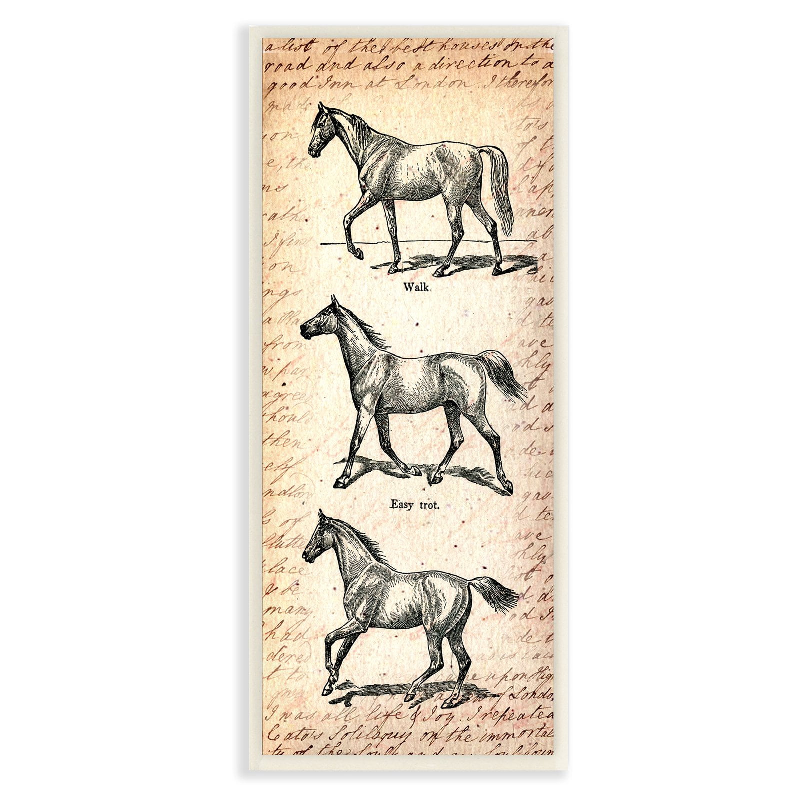 The Stupell Home Decor Collection Vintage Horse Movement Diagram Wall Art