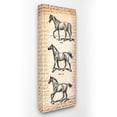thumbnail image 1 of The Stupell Home Decor Collection Vintage Horse Movement Diagram Wall Art, 1 of 4
