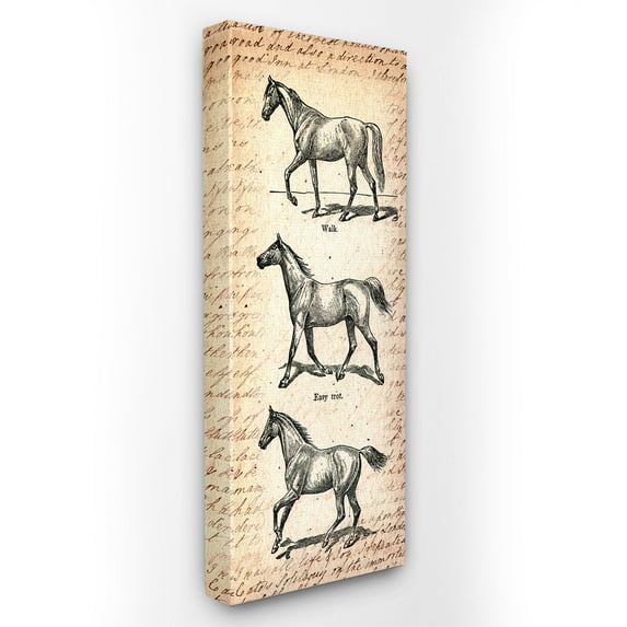 The Stupell Home Decor Collection Vintage Horse Movement Diagram Wall Art
