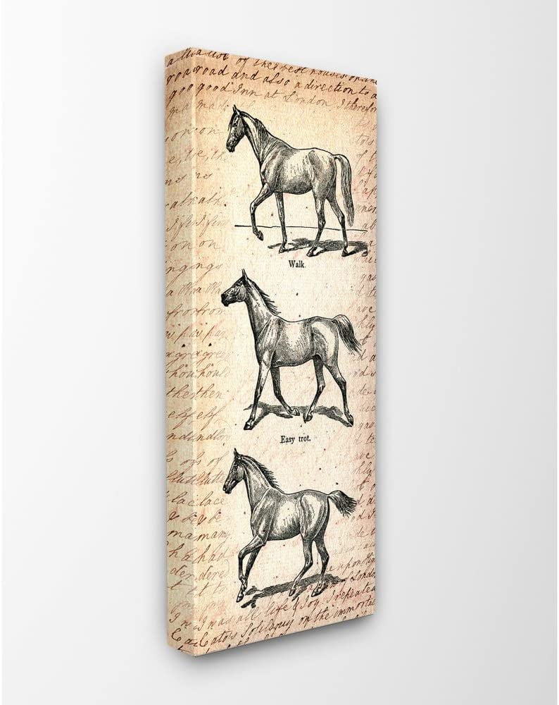 The Stupell Home Decor Collection Vintage Horse Movement Diagram Stretched Canvas Wall Art, 10 x 1.5 x 24