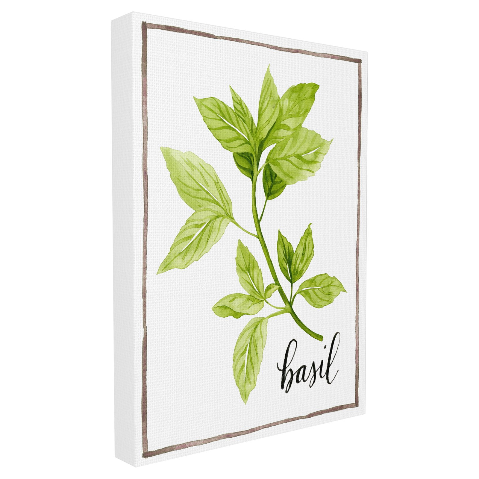 The Stupell Home Decor Collection Watercolor Herb Illustration Basil Painting with Script Oversized Framed Giclee Texturized Art, 16 x 1.5 x 20