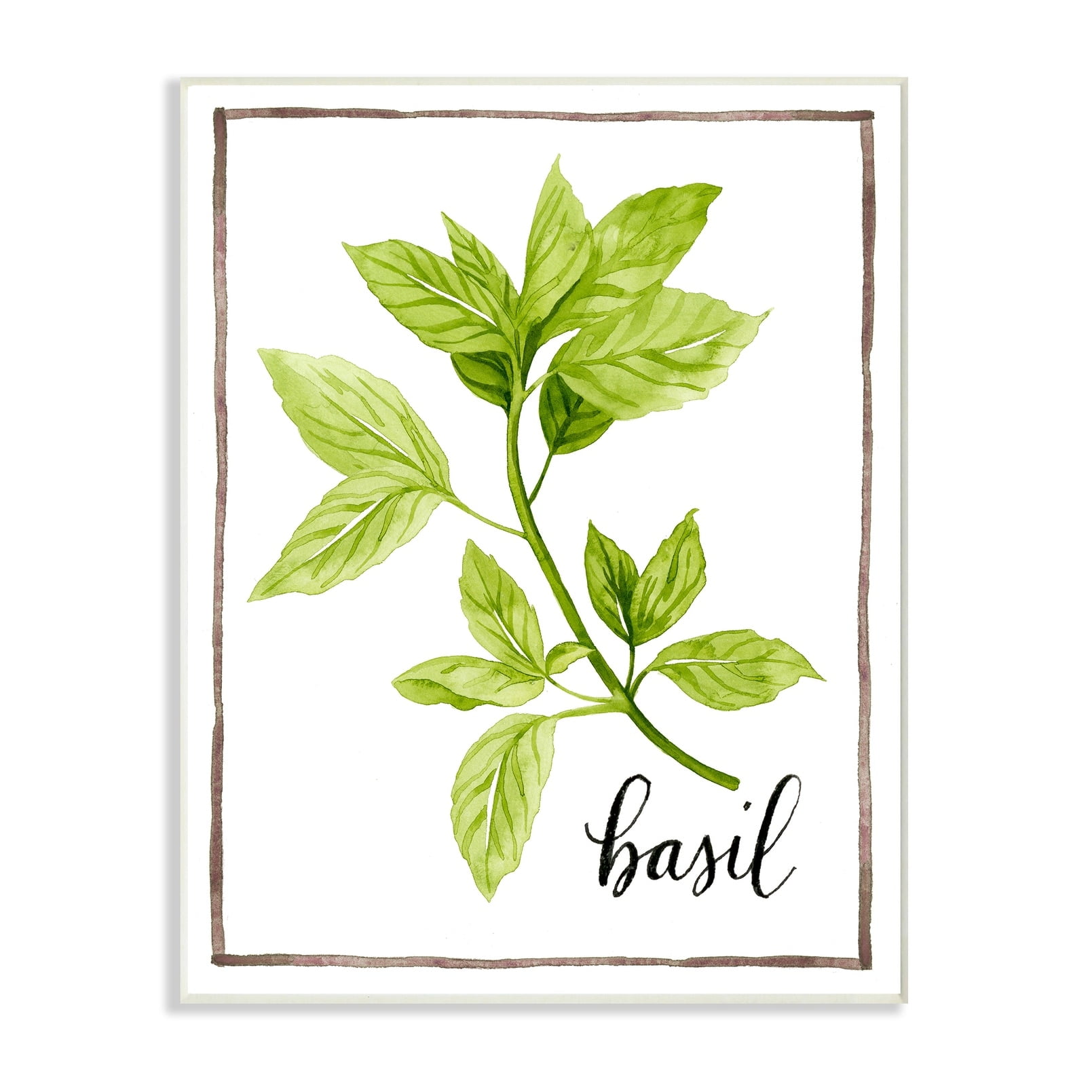The Stupell Home Decor Collection Watercolor Herb Illustration Basil Painting with Script Wall Plaque Art, 10 x 0.5 x 15