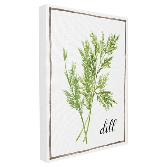 The Stupell Home Decor Collection Watercolor Herb Illustration Dill Painting with Script Oversized Stretched Canvas Wall Art, 24 x 1.5 x 30