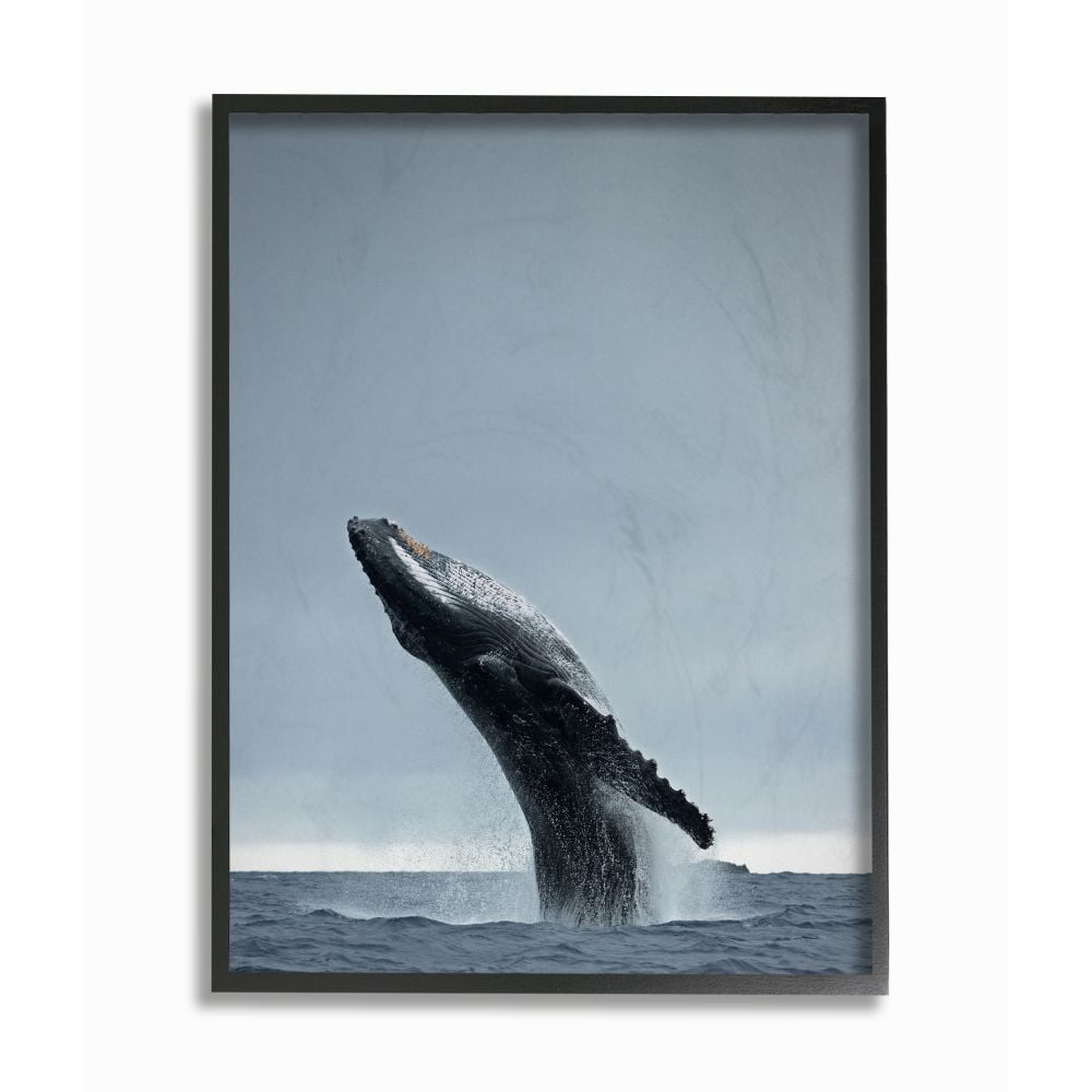 The Stupell Home Decor Collection Whale Breaching the Ocean Waters Photography Framed Giclee Texturized Art