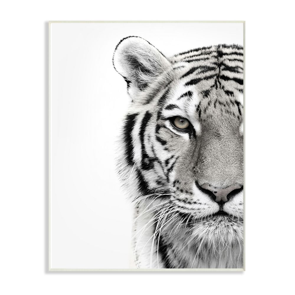 White Tiger Close-Up Black and White Wood Wall Art, 12 x 18