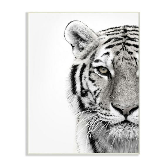 The Stupell Home Decor Collection White Tiger Close Up Black and White Photography Wood Wall Art