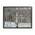 thumbnail image 1 of Stupell Winter Birches Photography Framed Giclee Texture Art 11 x 14, 1 of 4