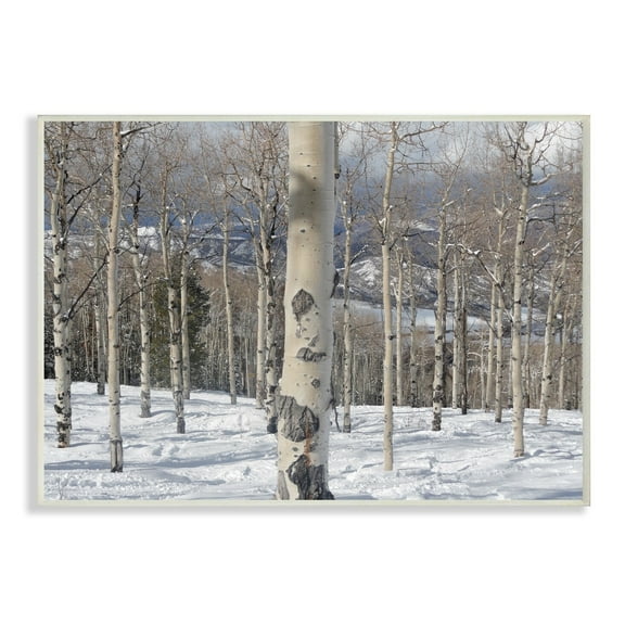 The Stupell Home Decor Collection Winter Birches Photography Wall Plaque Art