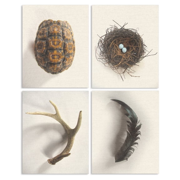 The Stupell Home Decor Collection Woodland Found Objects 4 Piece Wall Plaque Art Set