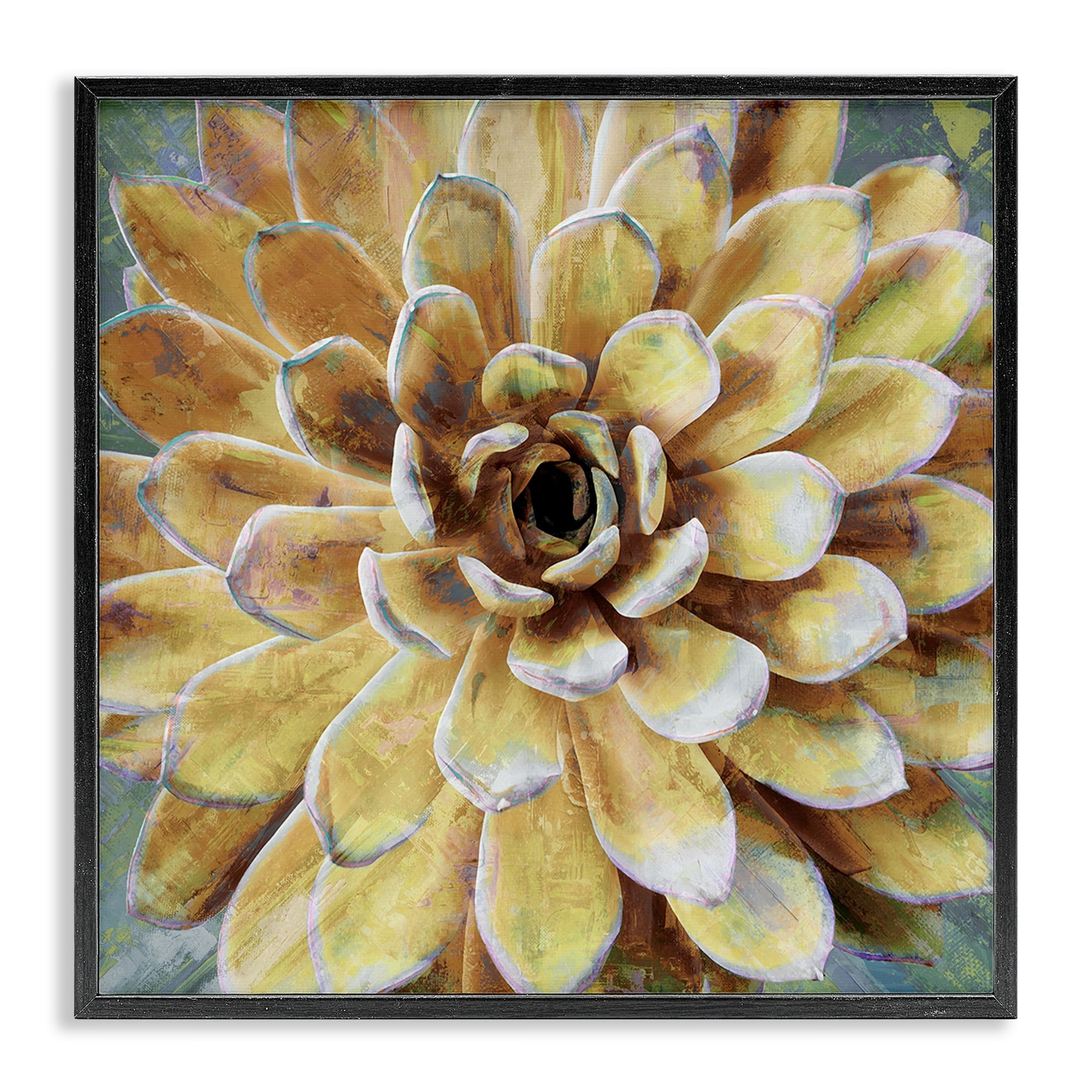 The Stupell Home Decor Collection Yellow Painted Botanical Succulent Bloom Painting Framed Giclee Texturized Art, 12 x 1.5 x 12