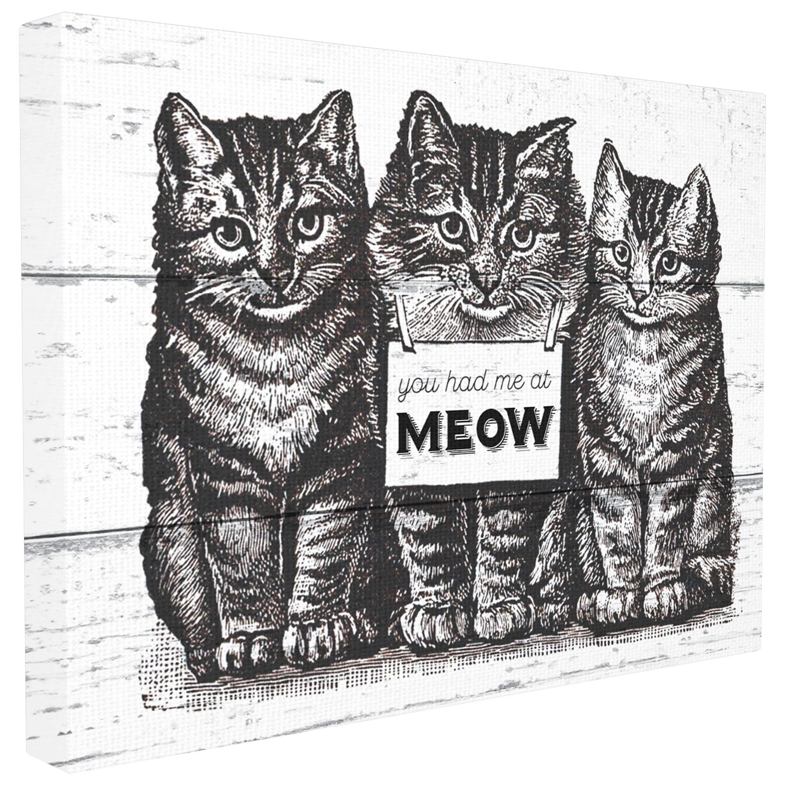 Black and White Cat Print MDF Wood Wall Art, 30 x 40
